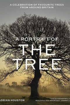 A Portrait of the Tree